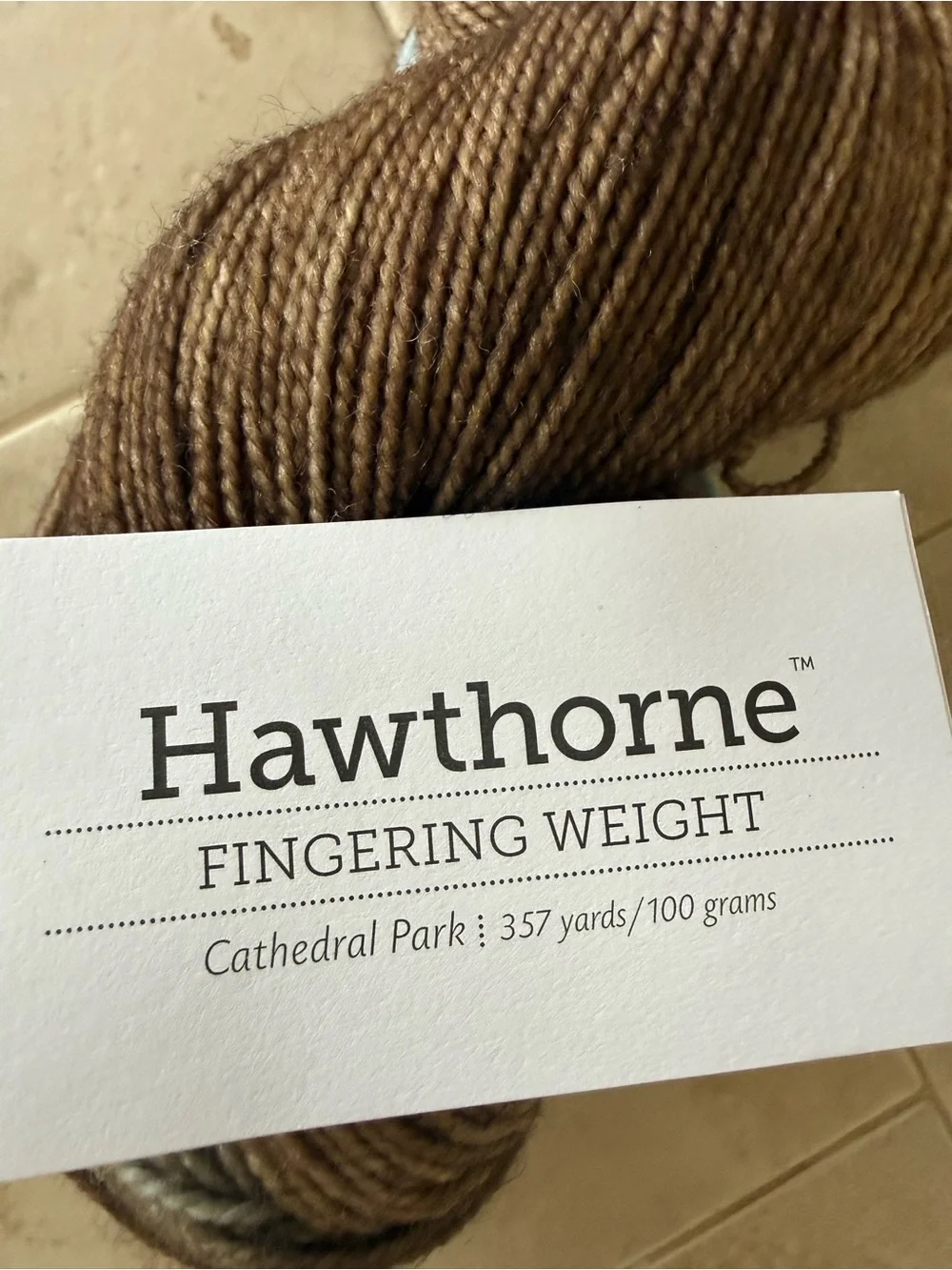 Hawthorne Brown & Light Blue Fingering Weight Yarn - Cathedral